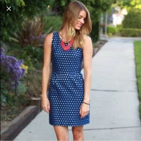 NWOT J.Crew polka dot Dress