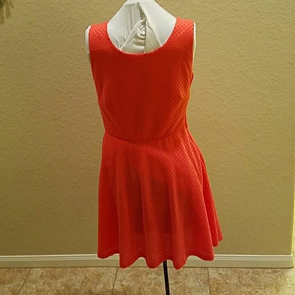 Dress - Beautiful Orange Eyelet Knit (Lined)