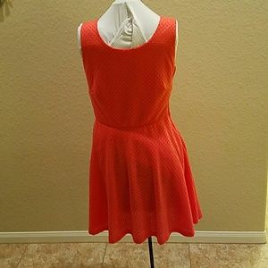 Dress - Beautiful Orange Eyelet Knit (Lined)
