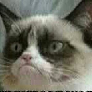 Meet your Posher, Paula