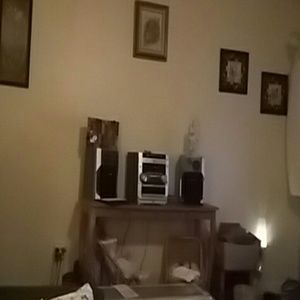 Meet your Posher, Rose