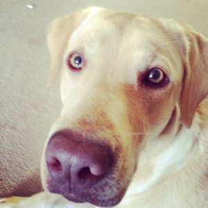 Meet your Posher, Jordan