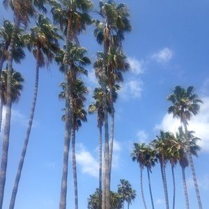 Meet your Posher, Mari-liis