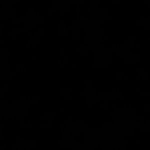 Meet your Posher, Linh