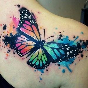 Meet your Posher, Kristy