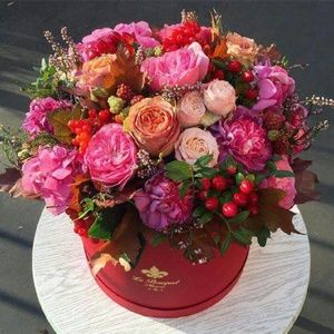 Meet your Posher, Flora