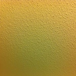 Meet your Posher, Asha