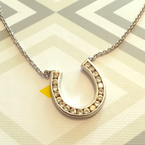 🏡Moving Sale🏡 Silver lucky horseshoe necklace