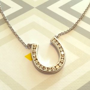 🏡Moving Sale🏡 Silver lucky horseshoe necklace