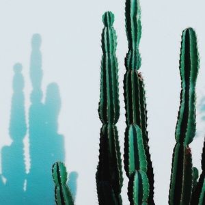 Meet your Posher, Savanna