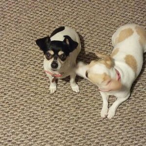 Meet your Posher, Lakeisha