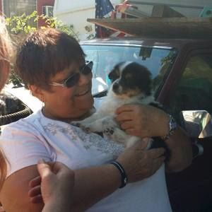 Meet your Posher, Cheryl