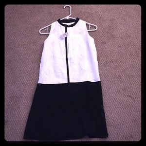 Ann Taylor Loft Petite Dress