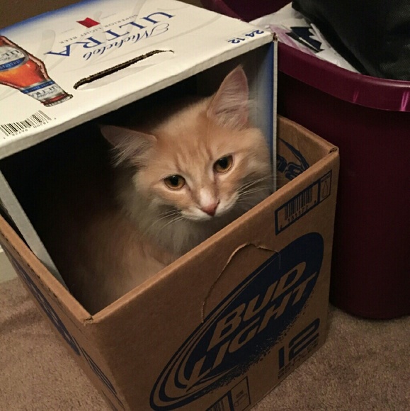 Meet your Posher, Kim