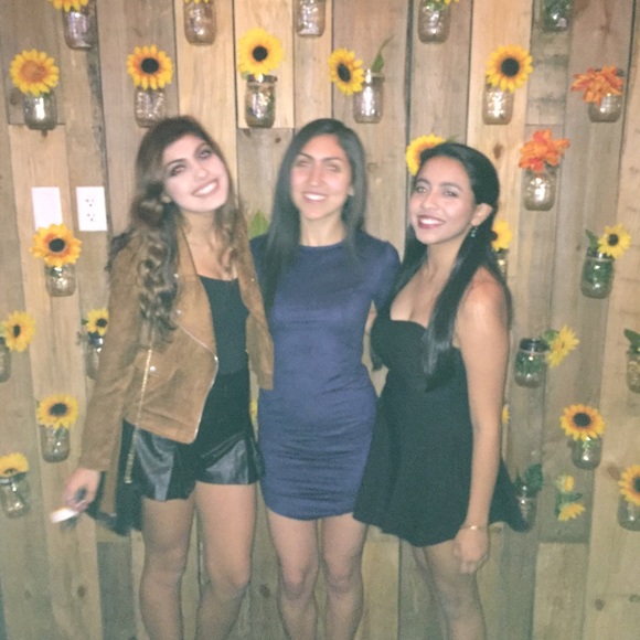 Meet your Posher, Niki - Picture 2 of 2