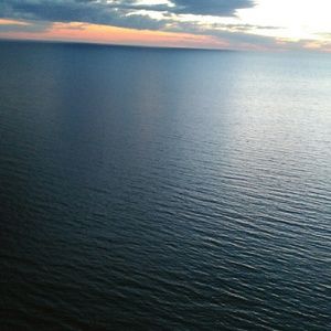 Meet your Posher, Nicki