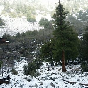 Meet your Posher, Rafael