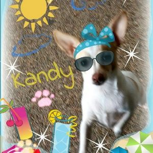 Meet your Posher, Margaret