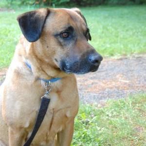 Meet your Posher, Becky