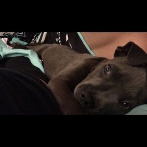 Meet your Posher, Nikki