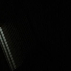 Meet your Posher, Rosa