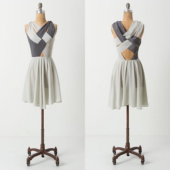 Gorgeous Samantha Pleet Paradox Dress