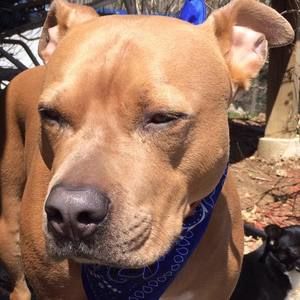 Meet your Posher, April