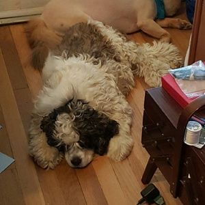 Meet your Posher, Catherine