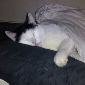 Meet your Posher, Barbara