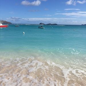 Meet your Posher, Louisa