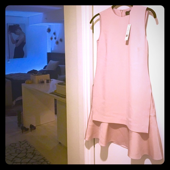 **OFFERS WELCOME** NWT Blush Theory Dress