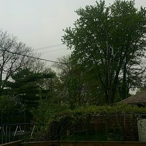 Meet your Posher, Yasmin