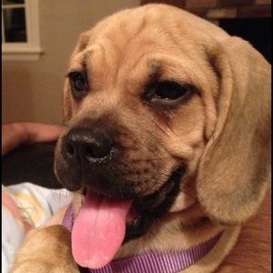 Meet your Posher, Becca