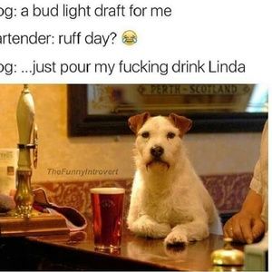 Meet your Posher, Denia