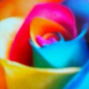 Meet your Posher, Star