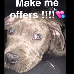 Willing to negotiate prices 🤗