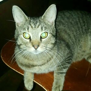 Meet your Posher, Lindsey