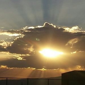 Meet your Posher, Paige