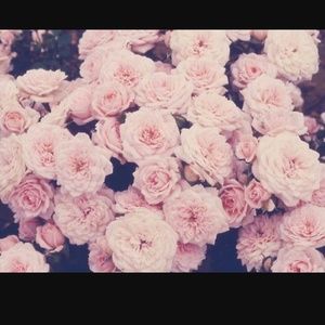 Meet your Posher, Kylee