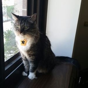 Meet your Posher, Dawn