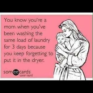 Meet your Posher, Ginger