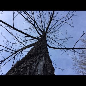 Meet your Posher, Fred