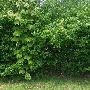 Meet your Posher, Sonia