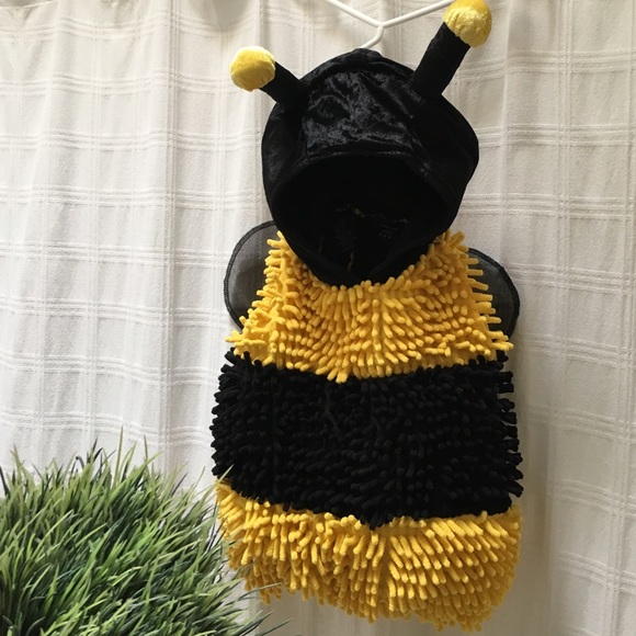 Bumble Bee Costume