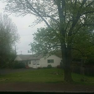 Meet your Posher, Ty