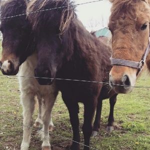 Meet your Posher, Lynda