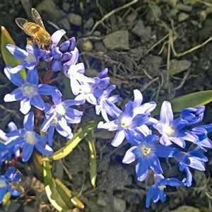 Meet your Posher, Janet