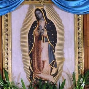 Meet your Posher, Juana elsa