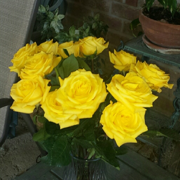 Meet your Posher, J.