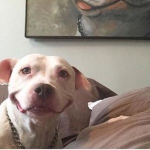 Meet your Posher, Monique